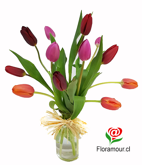 Florero de vidrio con 12 tulipanes. El color de los tulipanes podrÃ­a variar segÃºn stock. Este arreglo de tulipanes estÃ¡ disponible para envÃ­os dentro de Santiago y comunas cercanas.